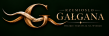 Logo tekstowe - strona główna